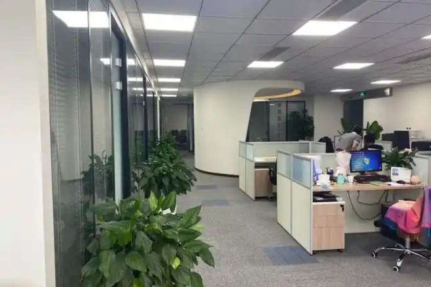 从替补席到战术核心：三位角色球员的赛季转折故事